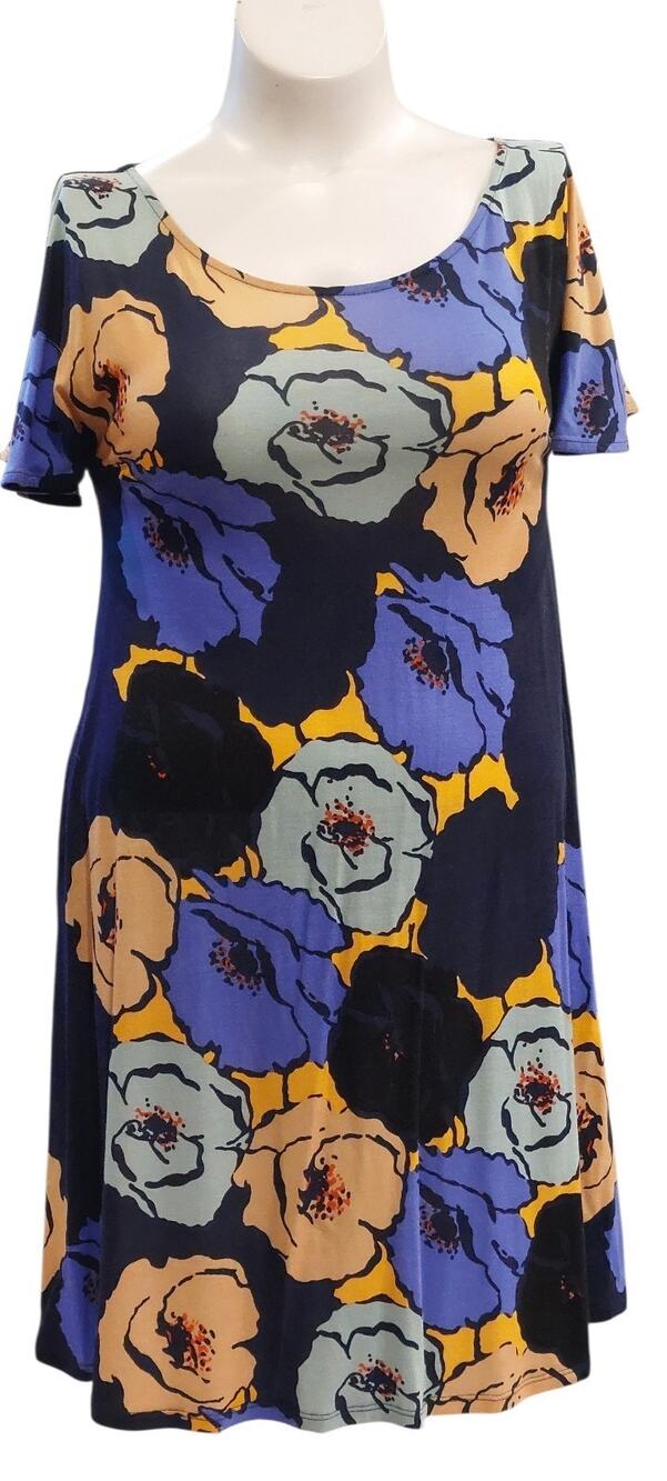 Anthropologie Vanessa Virginia Women's Mina Skater Silk Blend Floral Dress Small